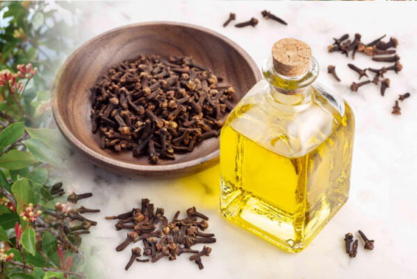Cloves  Products