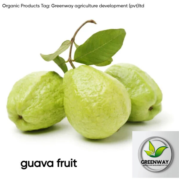 Guava Products