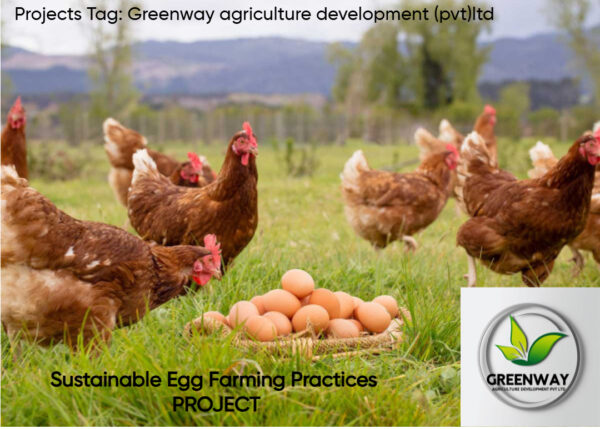 Sustainable Egg Farming Practices PROJECT