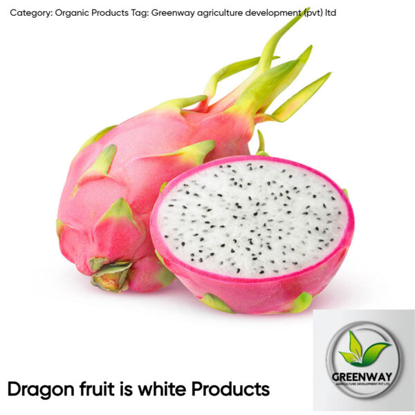 Dragon fruit is white Products