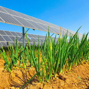 Komarika and Solar Project