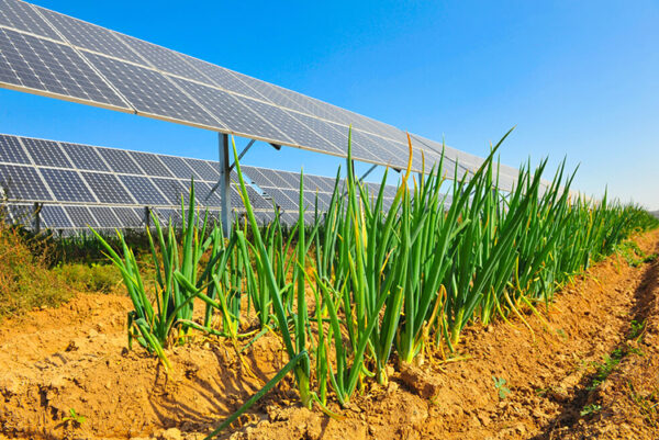 Komarika and Solar Project