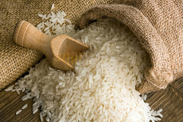 Samba Rice