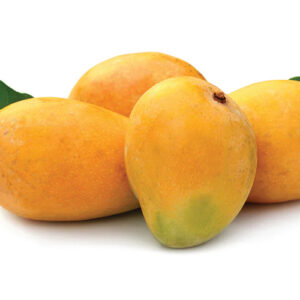 TJC Mango