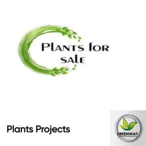 Plants Projects