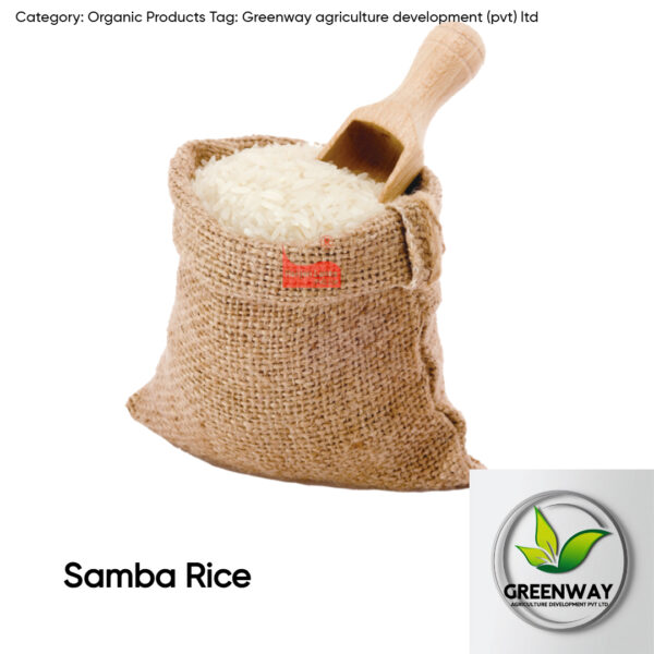 Samba Rice