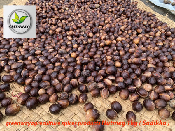 Nutmeg 1kg ( Sadikka )